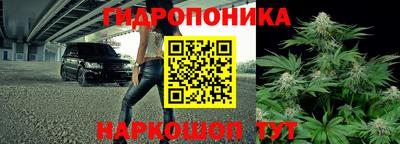 винт Новокубанск